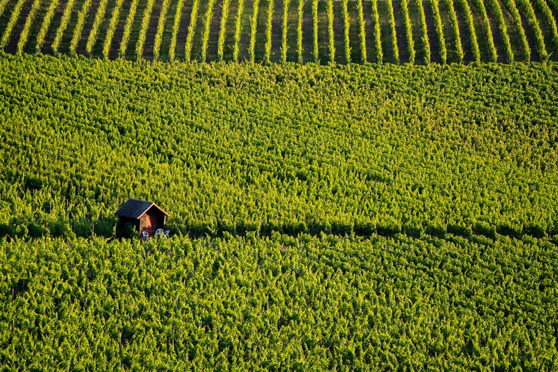 How to Sell Agricultural Land in Missouri?